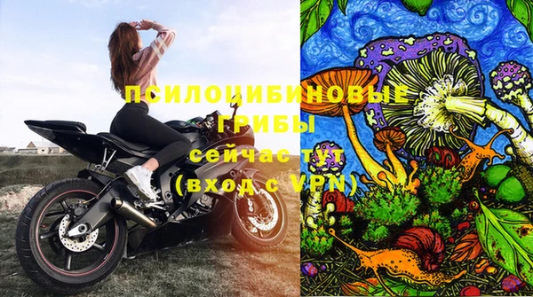 ECSTASY Елабуга