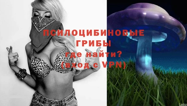 МДМА Елизово