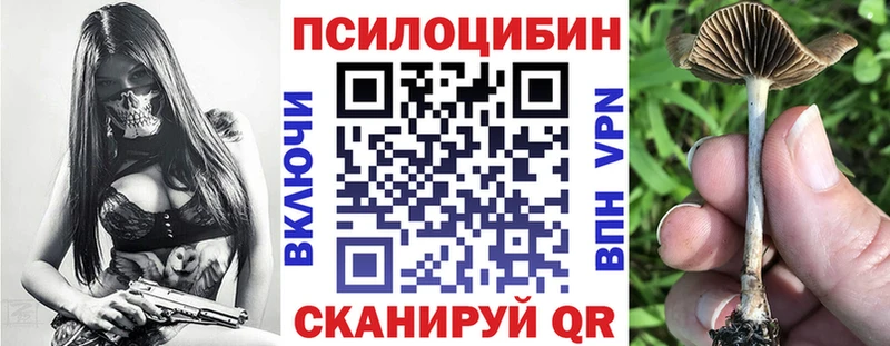 Галлюциногенные грибы мицелий  Купить закладки  Заполярный 